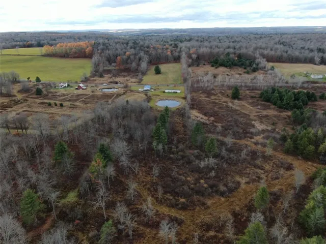 $359,000 | 140 Round Pond Road, Smithville Flats, NY 13841