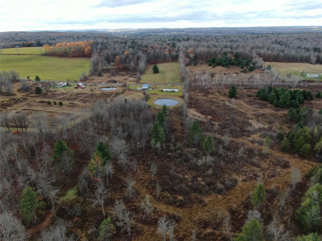 140 Round Pond Road Smithville, NY 13841 - Photo 25 of 34