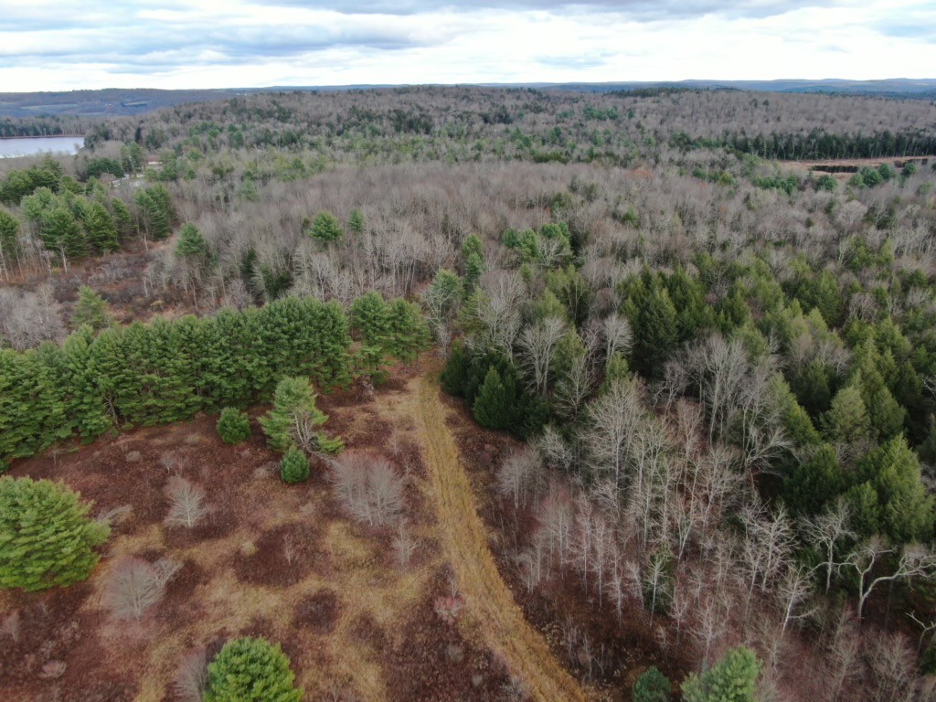 140 Round Pond Road Smithville, NY 13841 - Photo 26 of 34