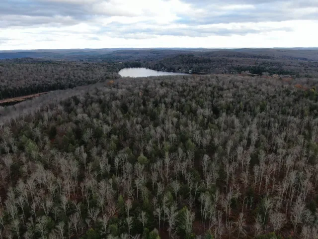 $359,000 | 140 Round Pond Road, Smithville Flats, NY 13841