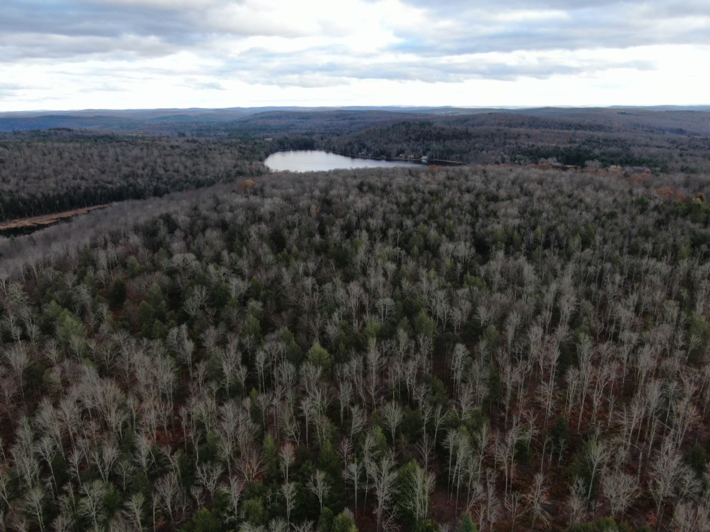 140 Round Pond Road Smithville, NY 13841 - Photo 34 of 34