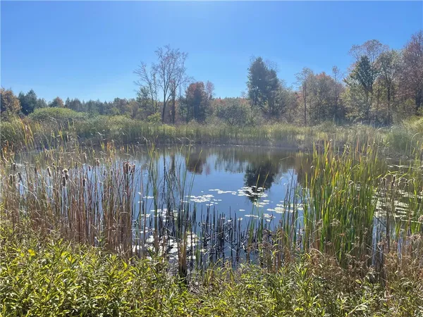 $359,000 | 140 Round Pond Road, Smithville, NY 13841