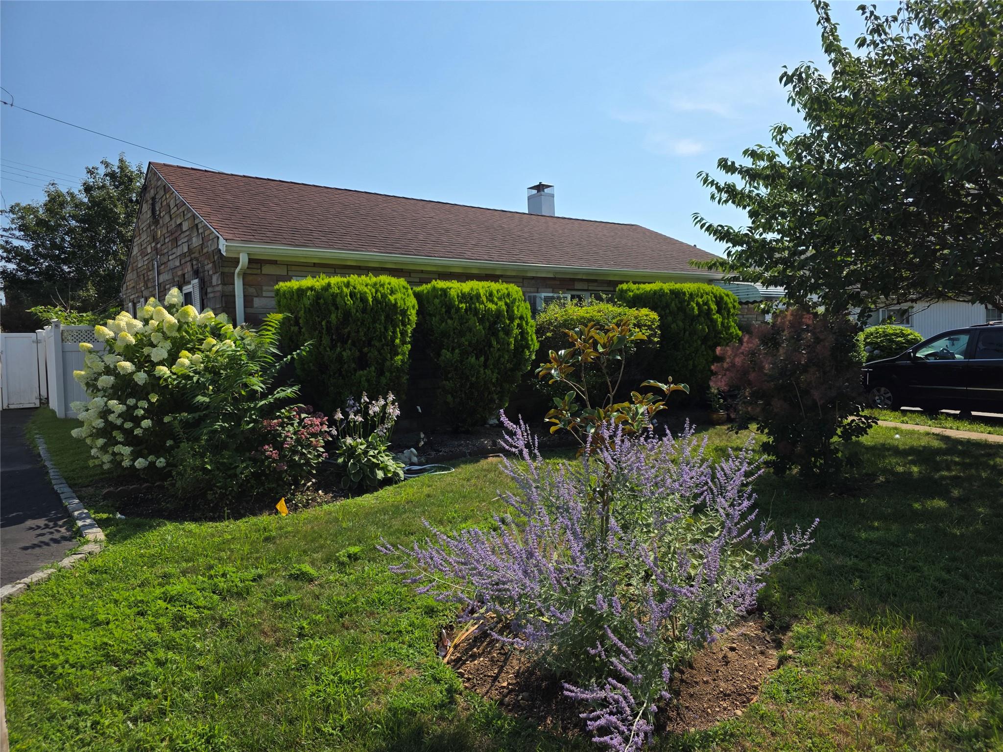 a view of a backyard