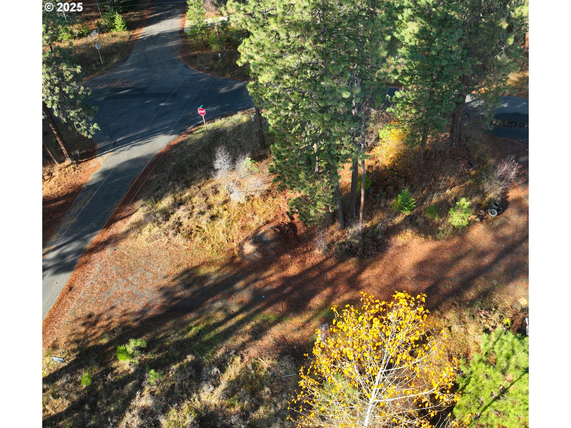Trout Lake Park Road, Unit 2 Trout Lake, WA 98650 - Photo 11 of 23 a view of yard