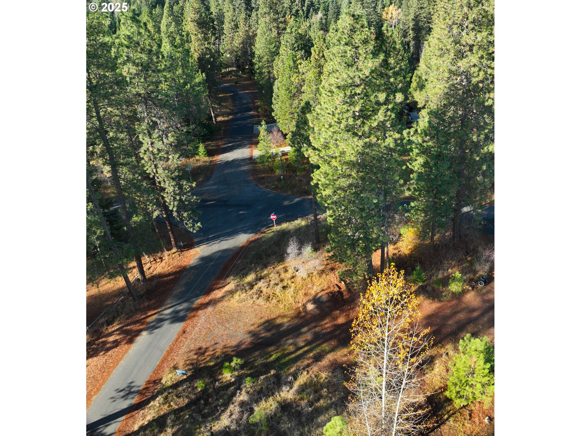 Trout Lake Park Road, Unit 2 Trout Lake, WA 98650 - Photo 12 of 23