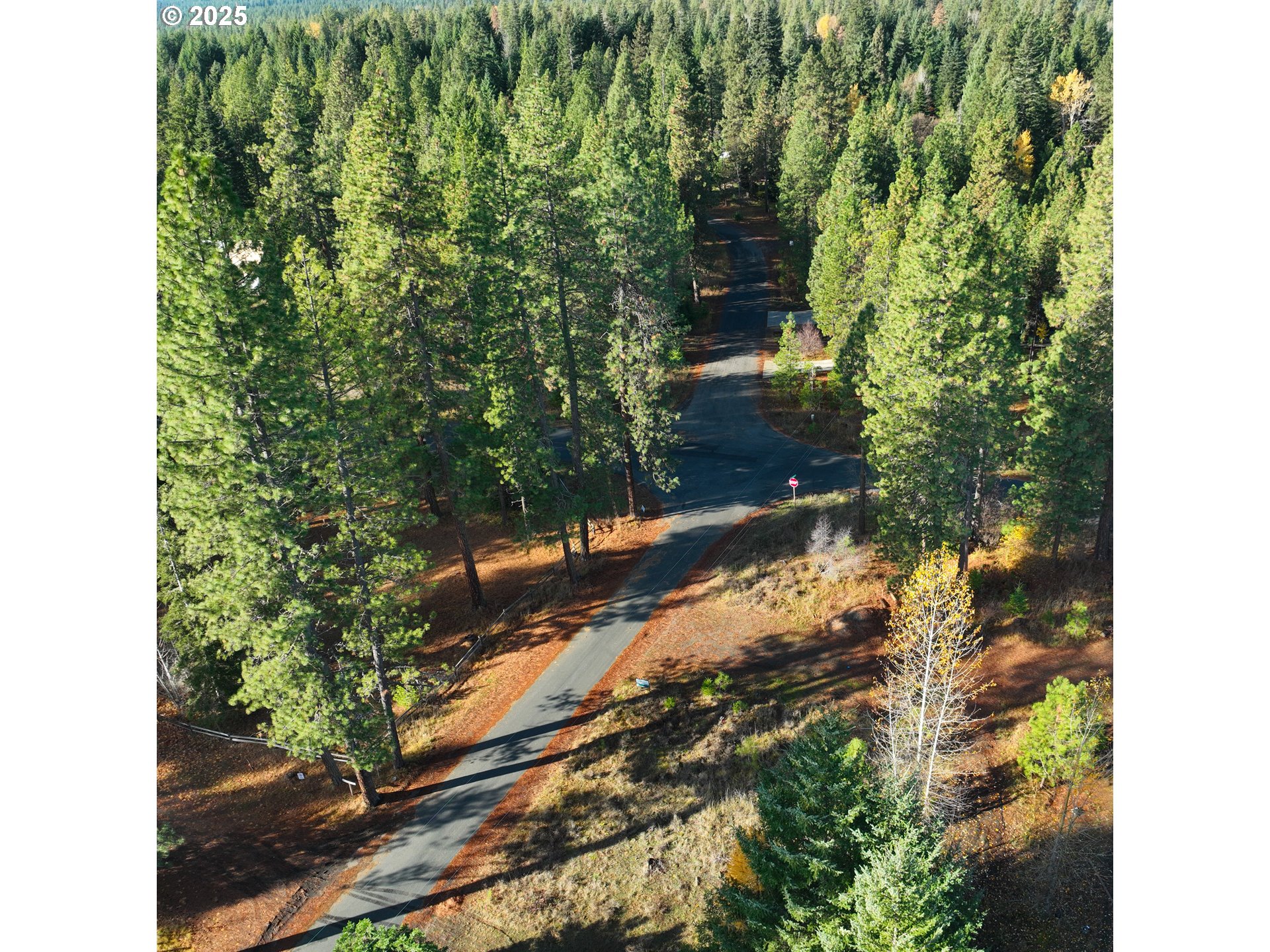 Trout Lake Park Road, Unit 2 Trout Lake, WA 98650 - Photo 13 of 23 a view of a yard with plants and large trees