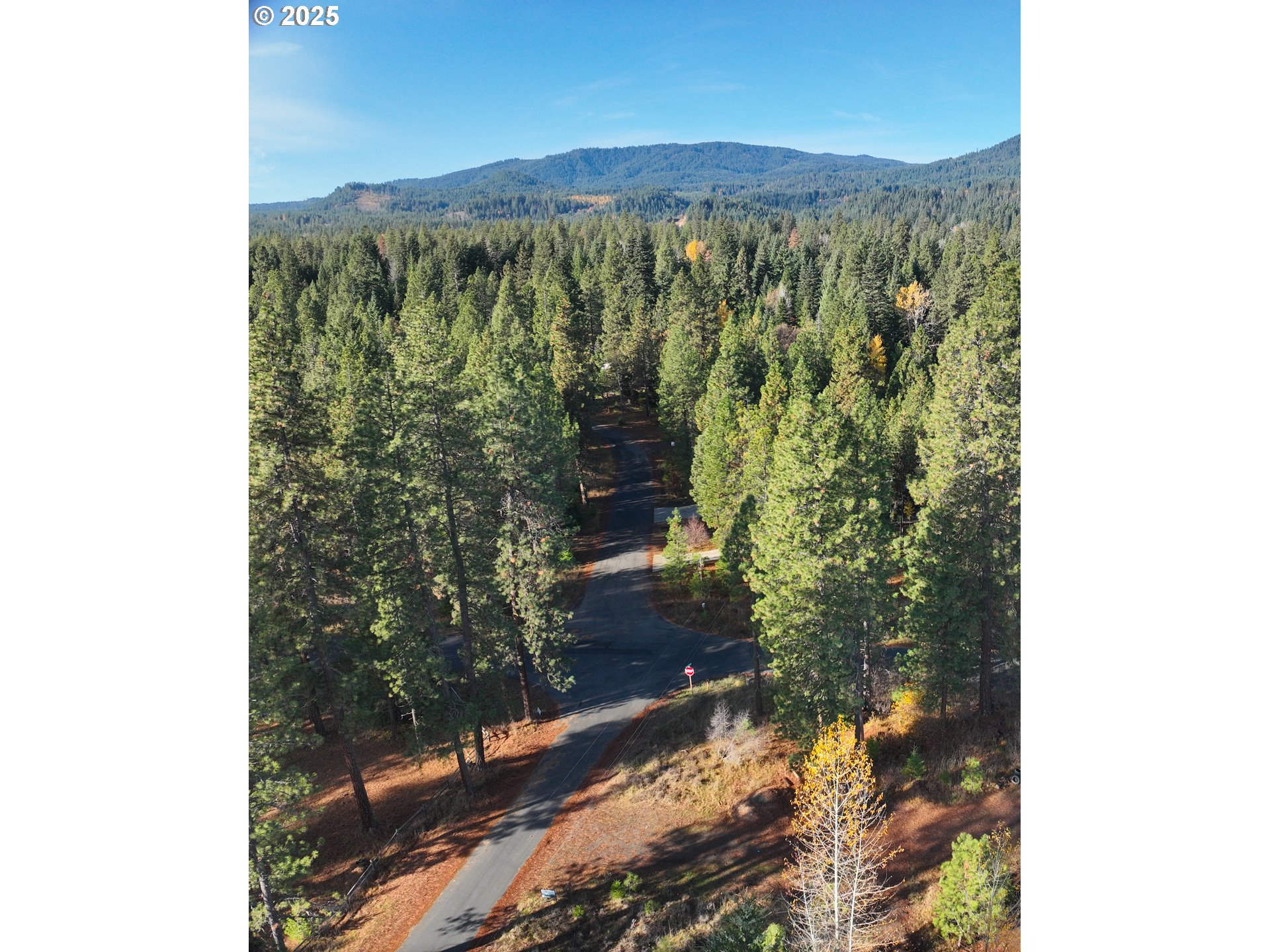 Trout Lake Park Road, Unit 2 Trout Lake, WA 98650 - Photo 14 of 23 a view of a forest with mountains in the background