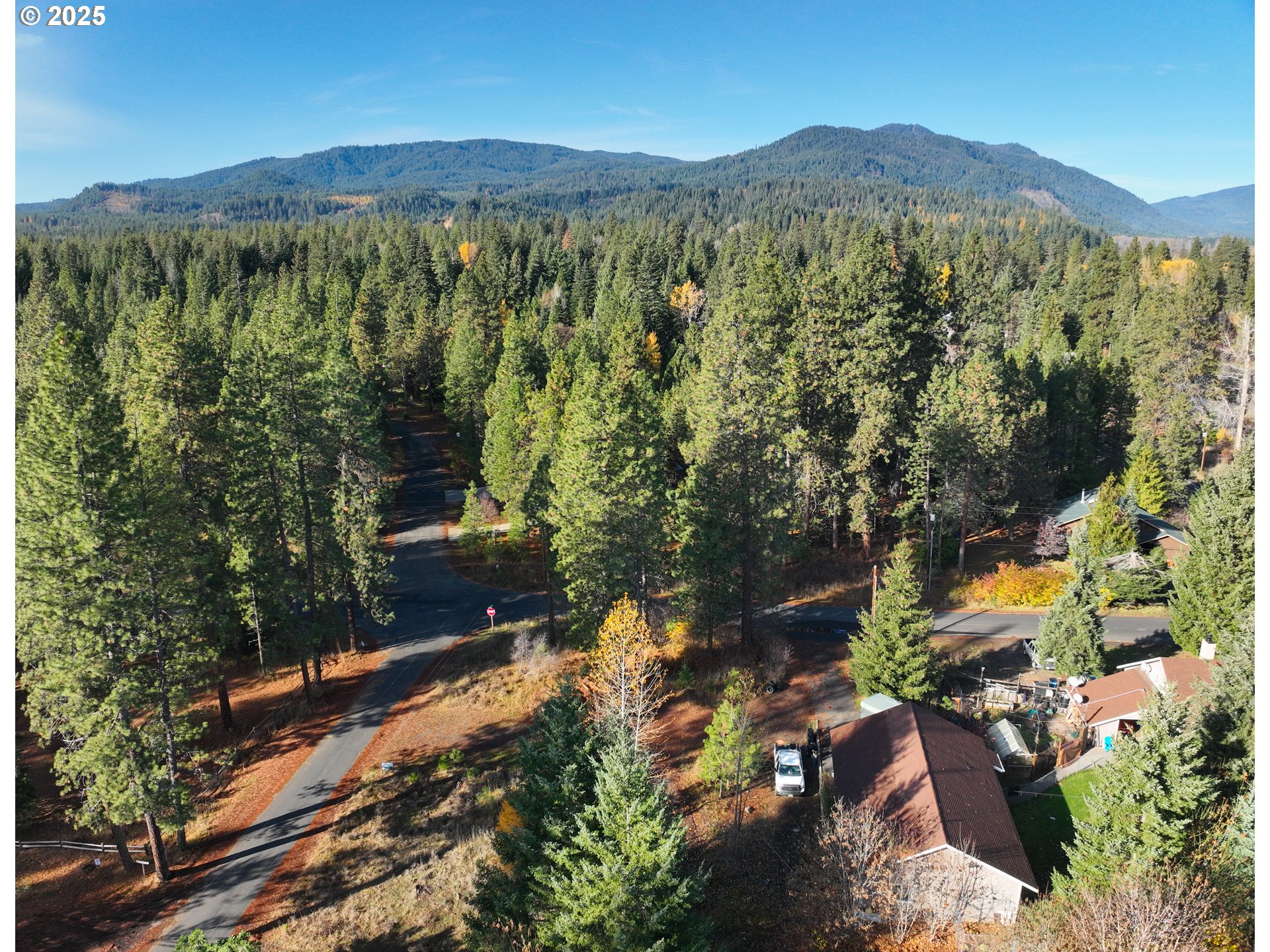 Trout Lake Park Road, Unit 2 Trout Lake, WA 98650 - Photo 15 of 23 a view of a mountain with a forest