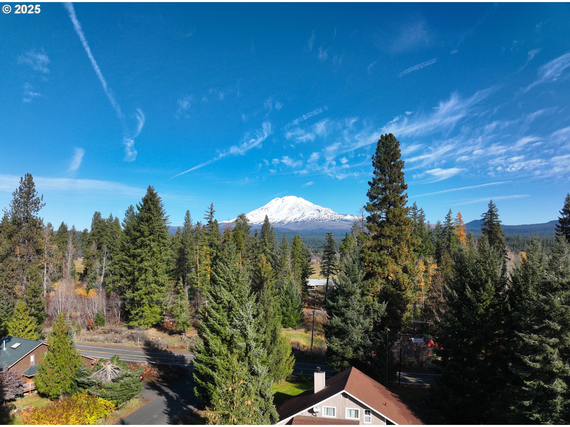Trout Lake Park Road, Unit 2 Trout Lake, WA 98650 - Photo 16 of 23 a view of a yard