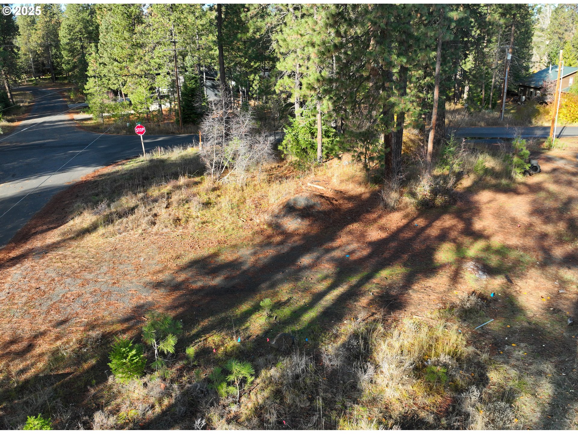 Trout Lake Park Road, Unit 2 Trout Lake, WA 98650 - Photo 17 of 23 a view of street view