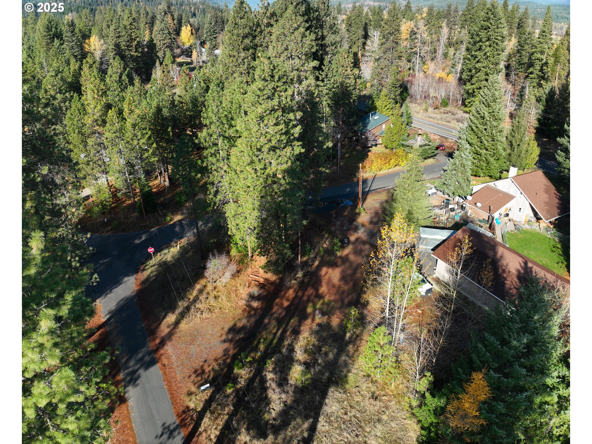 Trout Lake Park Road, Unit 2 Trout Lake, WA 98650 - Photo 18 of 23 a view of a city