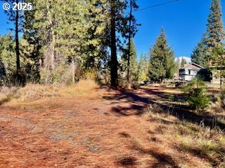 Trout Lake Park Road, Unit 2 Trout Lake, WA 98650 - Photo 2 of 23 a view of a yard with trees