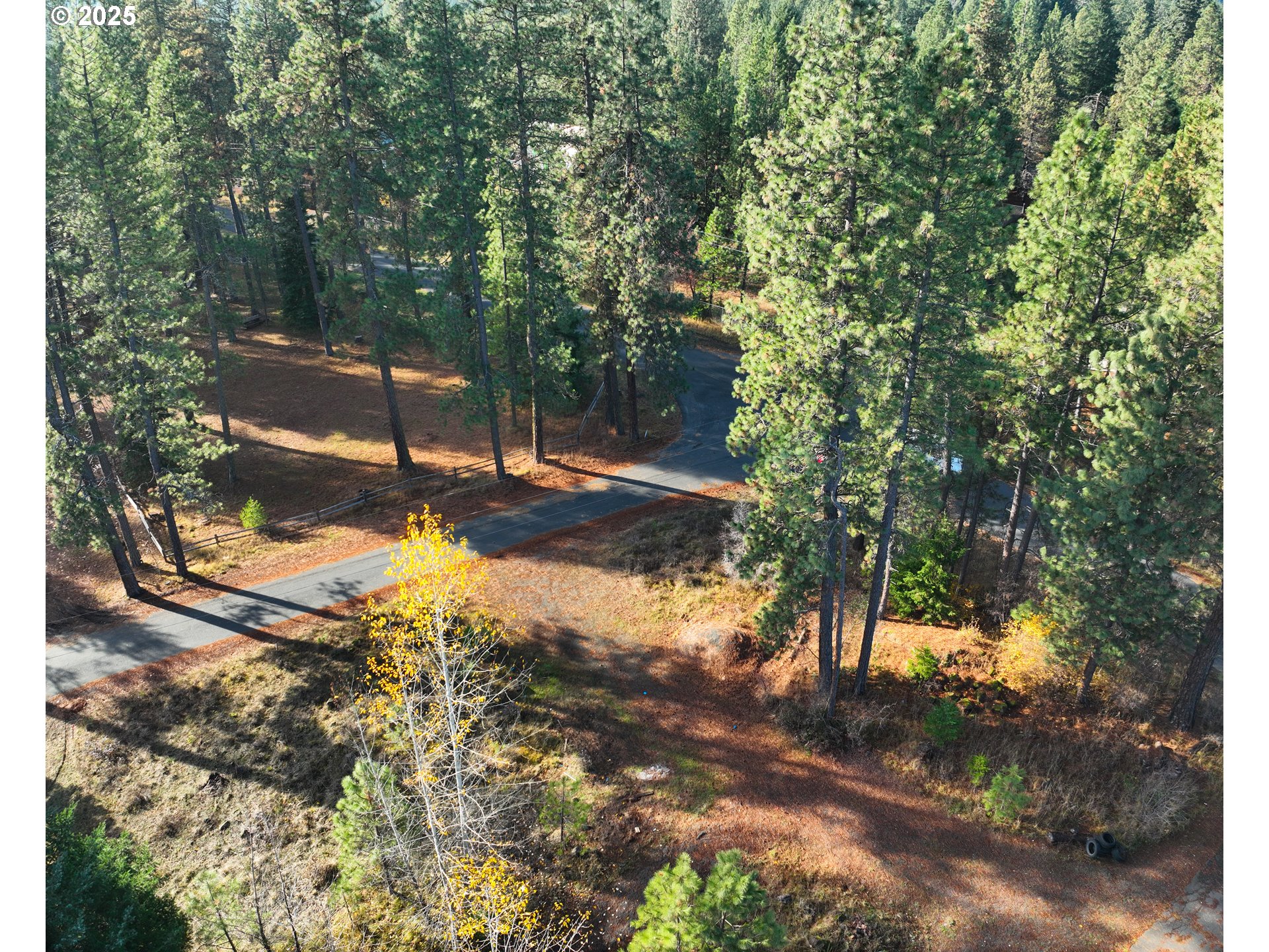 Trout Lake Park Road, Unit 2 Trout Lake, WA 98650 - Photo 21 of 23 a view of a yard with trees