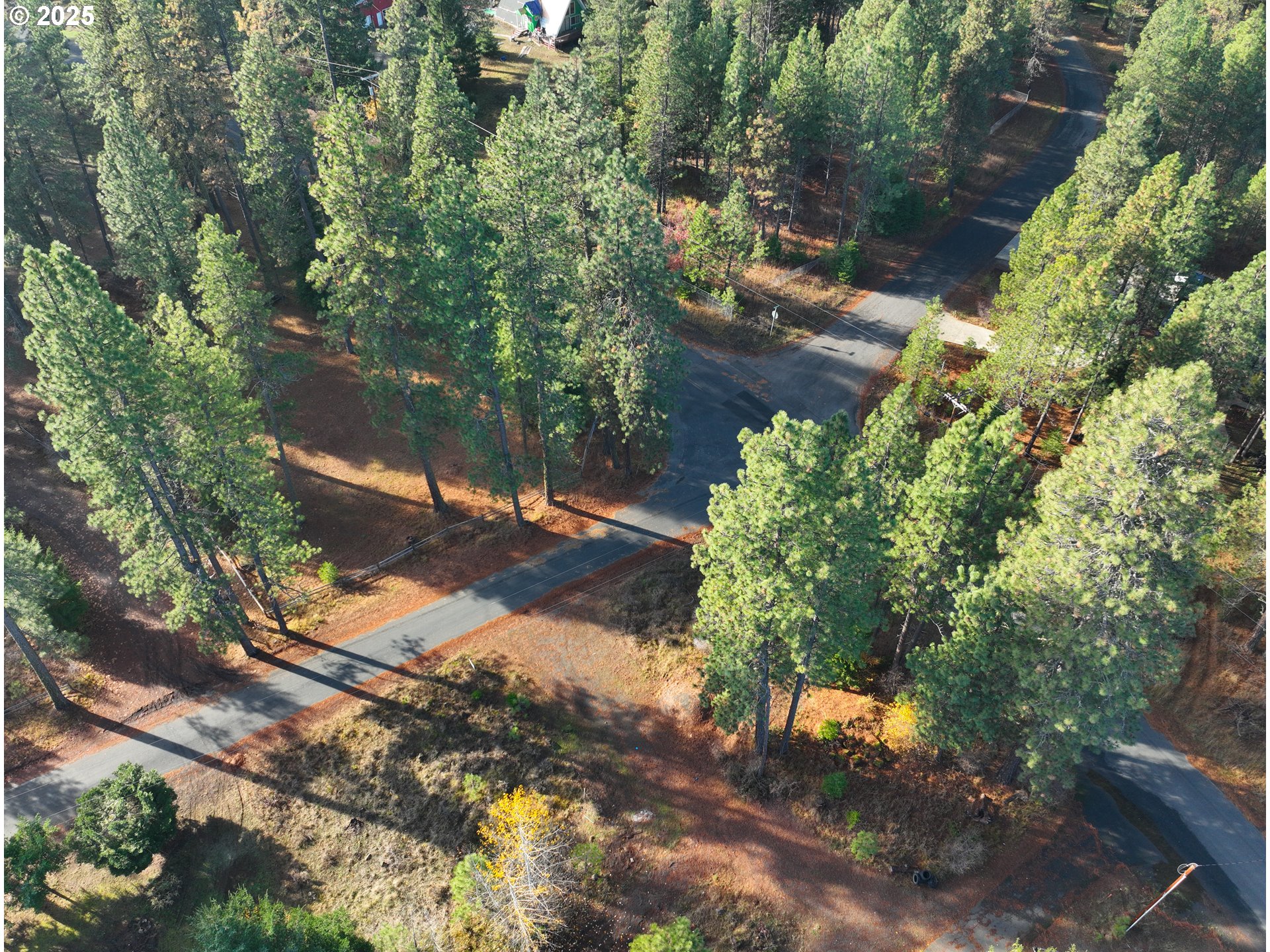Trout Lake Park Road, Unit 2 Trout Lake, WA 98650 - Photo 22 of 23 a view of a tree