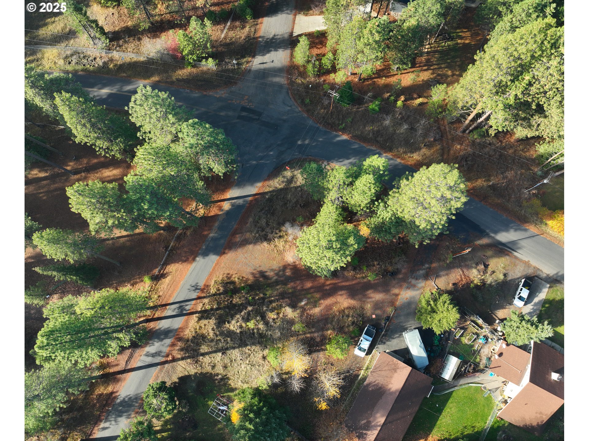 Trout Lake Park Road, Unit 2 Trout Lake, WA 98650 - Photo 23 of 23 a plant that is in a yard