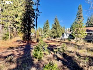 Trout Lake Park Road, Unit 2 Trout Lake, WA 98650 - Photo 3 of 23 a view of a yard with a tree