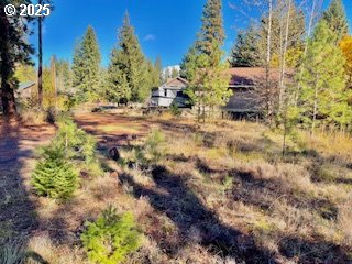 Trout Lake Park Road, Unit 2 Trout Lake, WA 98650 - Photo 4 of 23 a backyard of a house with a yard and outdoor seating