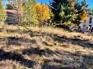 Trout Lake Park Road, Unit 2 Trout Lake, WA 98650 - Photo 5 of 23 a view of ocean
