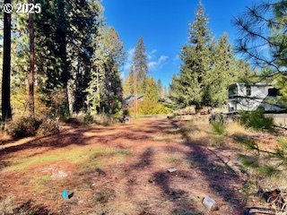 Trout Lake Park Road, Unit 2 Trout Lake, WA 98650 - Photo 6 of 23 a view of dirt yard with a tree