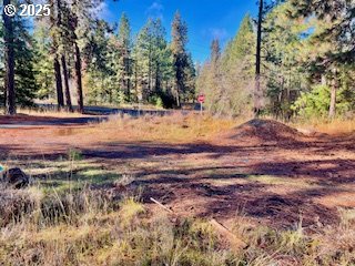 Trout Lake Park Road, Unit 2 Trout Lake, WA 98650 - Photo 7 of 23 a view of backyard with green space
