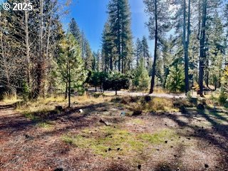 Trout Lake Park Road, Unit 2 Trout Lake, WA 98650 - Photo 8 of 23 a view of outdoor space with trees