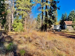 Trout Lake Park Road, Unit 2 Trout Lake, WA 98650 - Photo 9 of 23 a view of a yard with plants