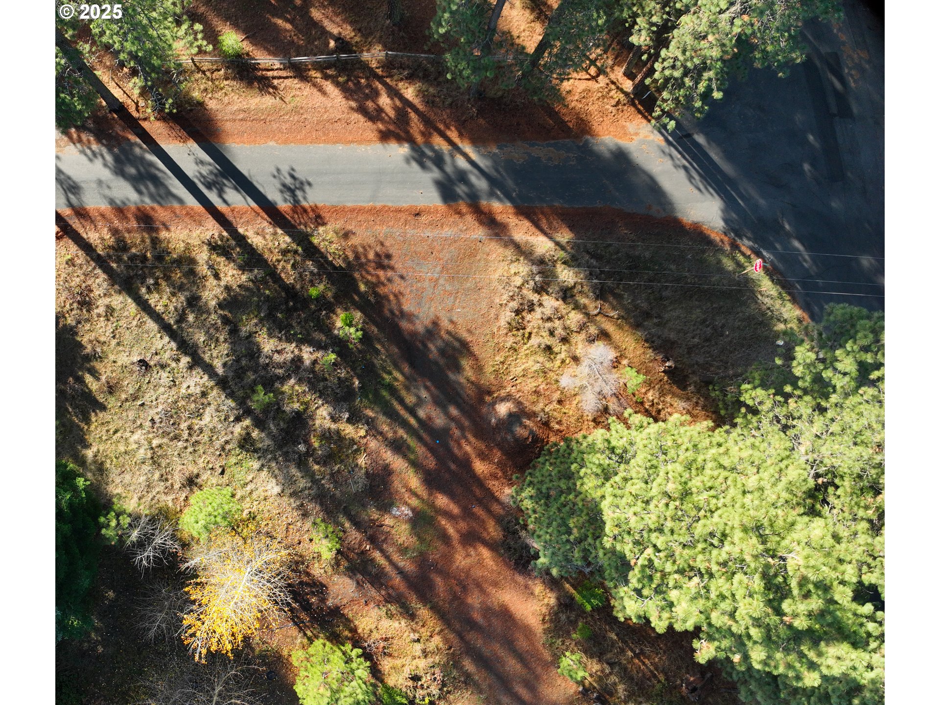 Trout Lake Park Road, Unit 2 Trout Lake, WA 98650 - Photo 10 of 23 a view of lake