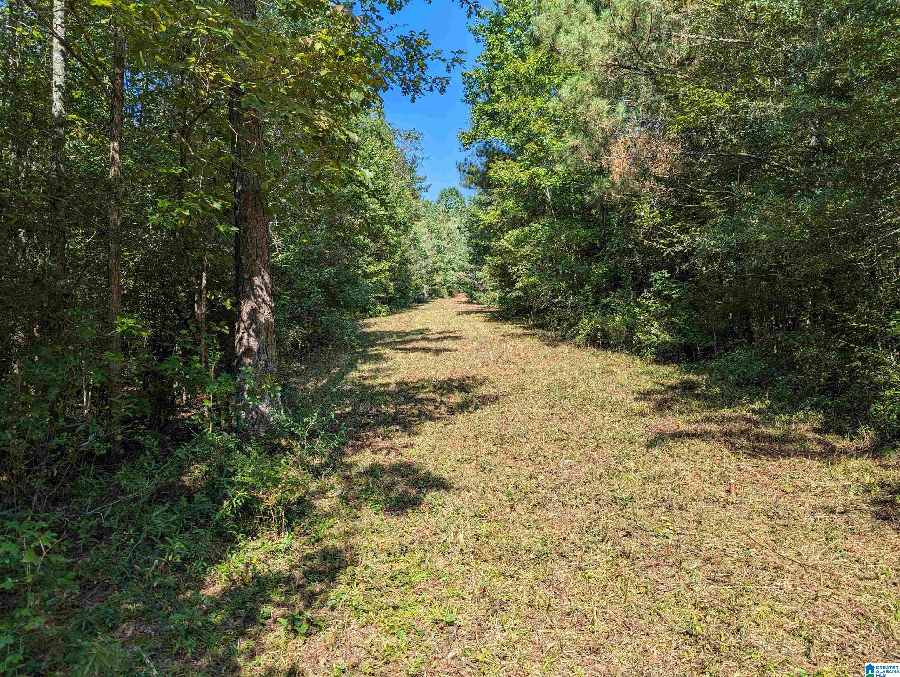 534 County Road, Unit 35 Woodland, AL 36280 - Photo 6 of 22
