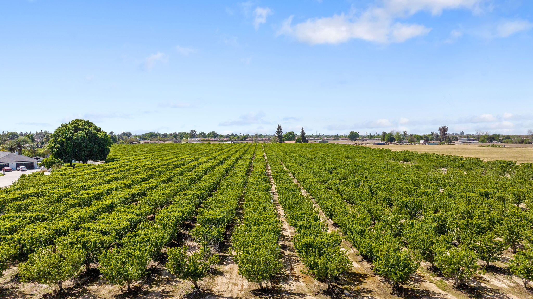 West Hanford Armona Road Lemoore, CA 93245 - Photo 1 of 9 a view of outdoor space and a yard