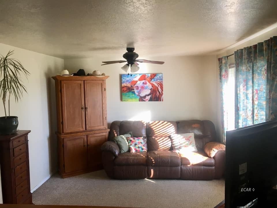 281 Springfield Parkway Spring Creek, NV 89815 - Photo 10 of 19 Gallery Image 10