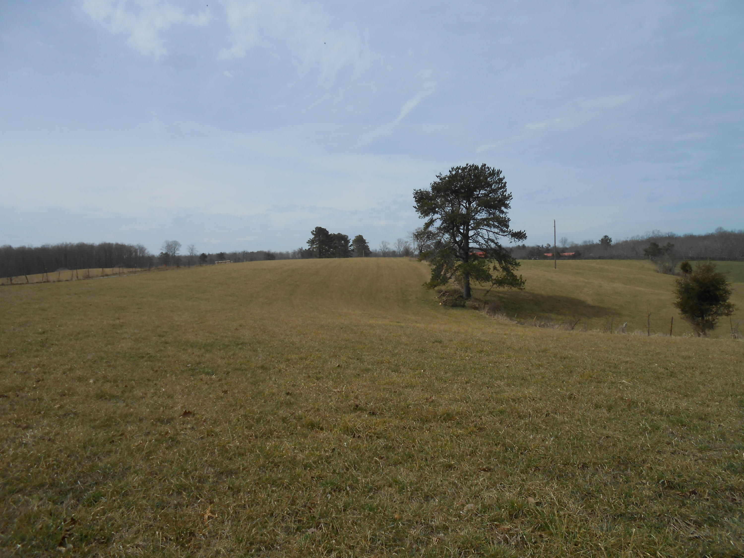 Obey Blevins Road Jamestown, TN 38556 - Photo 1 of 13 DSCN5930.JPG