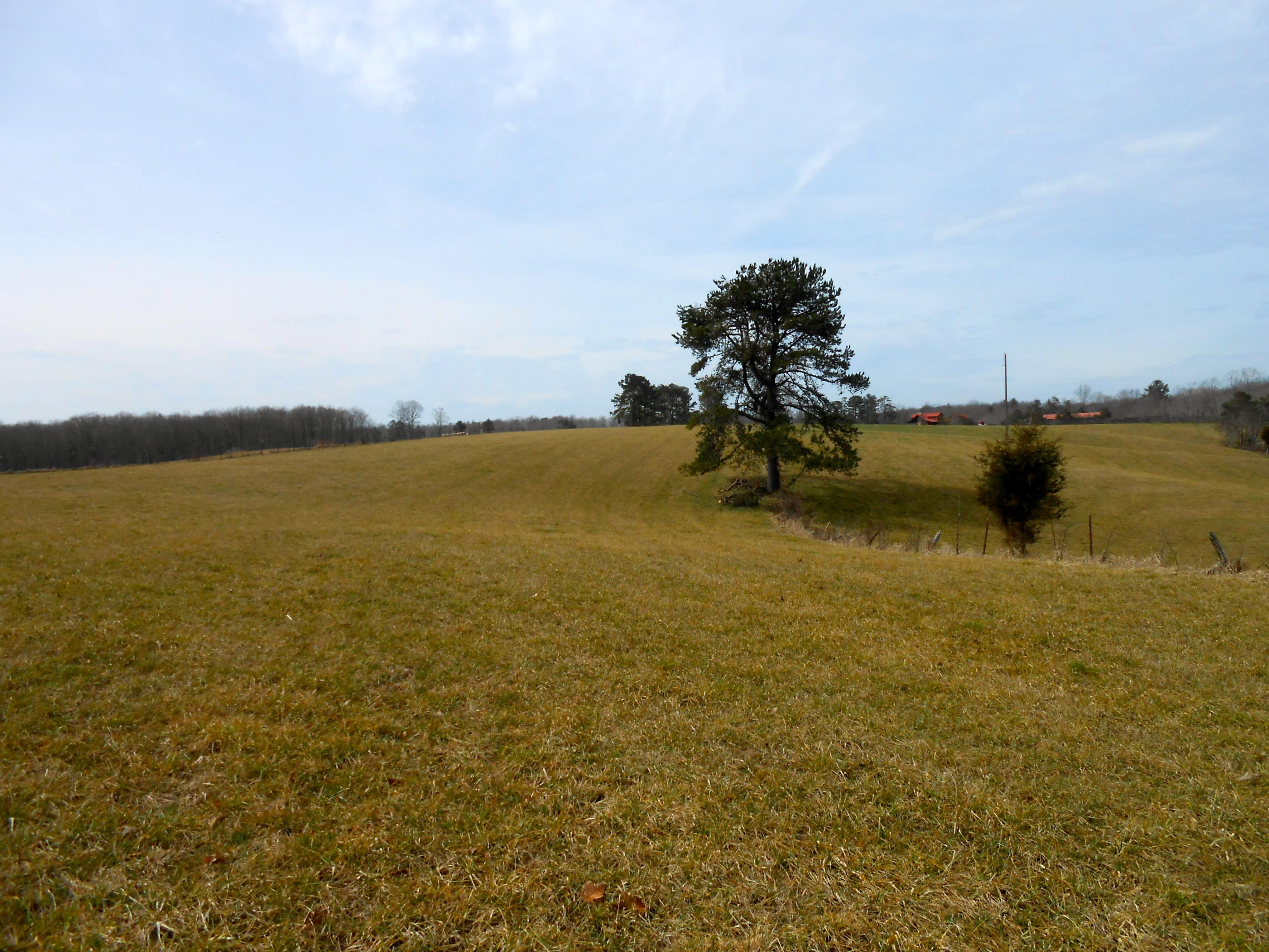 Obey Blevins Road Jamestown, TN 38556 - Photo 12 of 13 DSCN5927.JPG