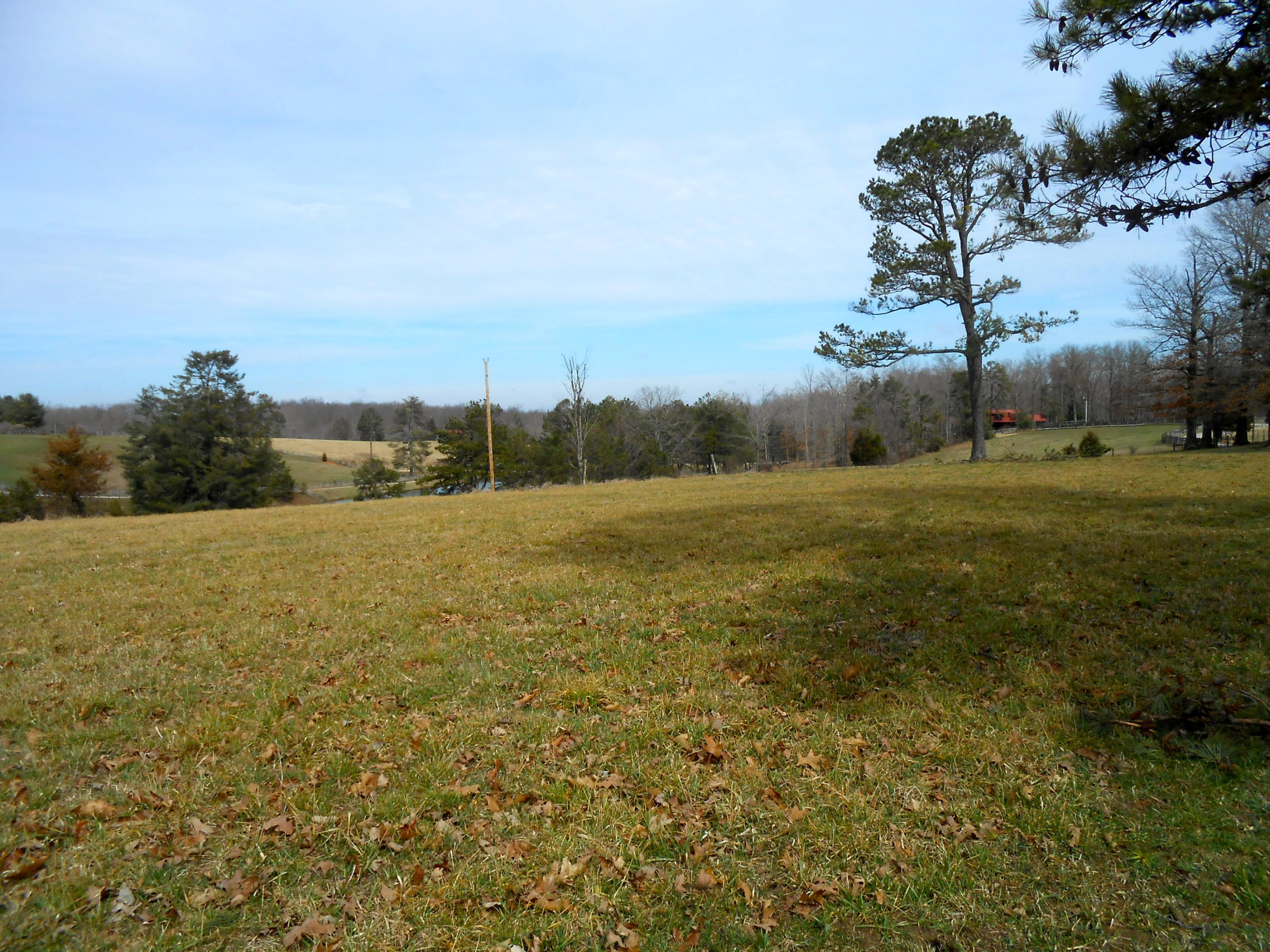 Obey Blevins Road Jamestown, TN 38556 - Photo 5 of 13 DSCN5916.JPG