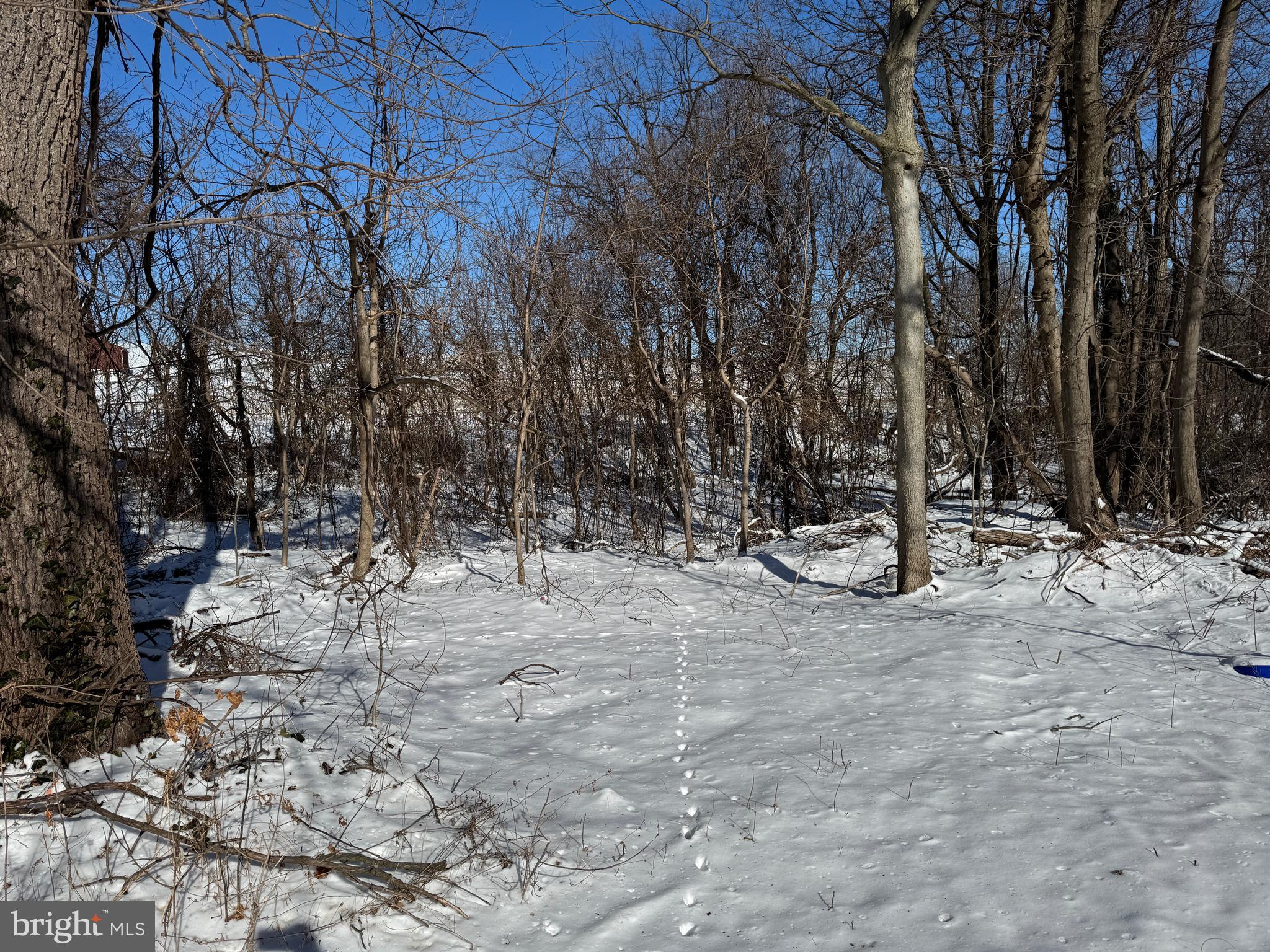 303 Hilldale Road Pequea, PA 17565 - Photo 3 of 3