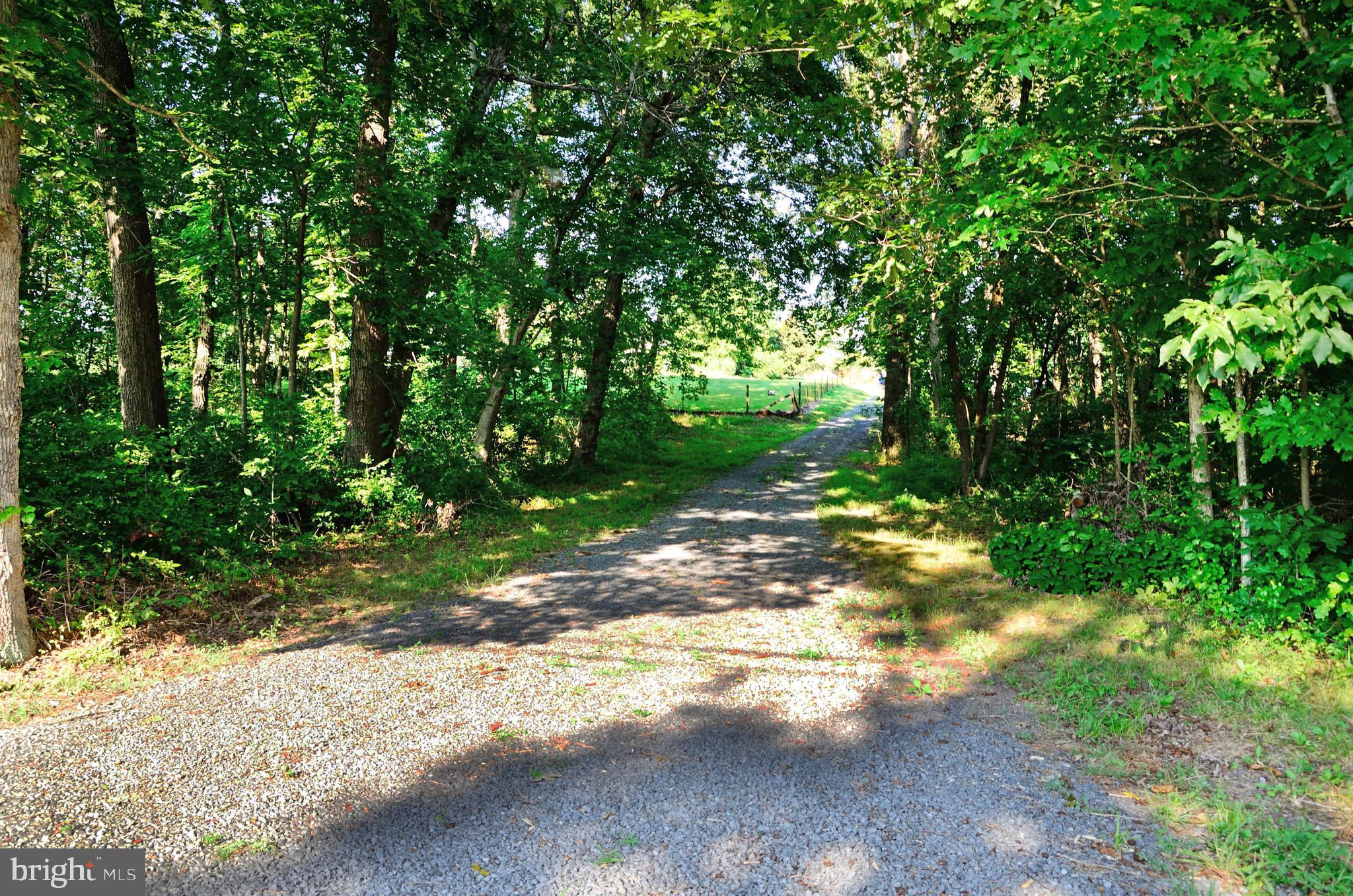 Latham Lane Amissville, VA 20106 - Photo 1 of 22 a view of a yard with plants and large trees