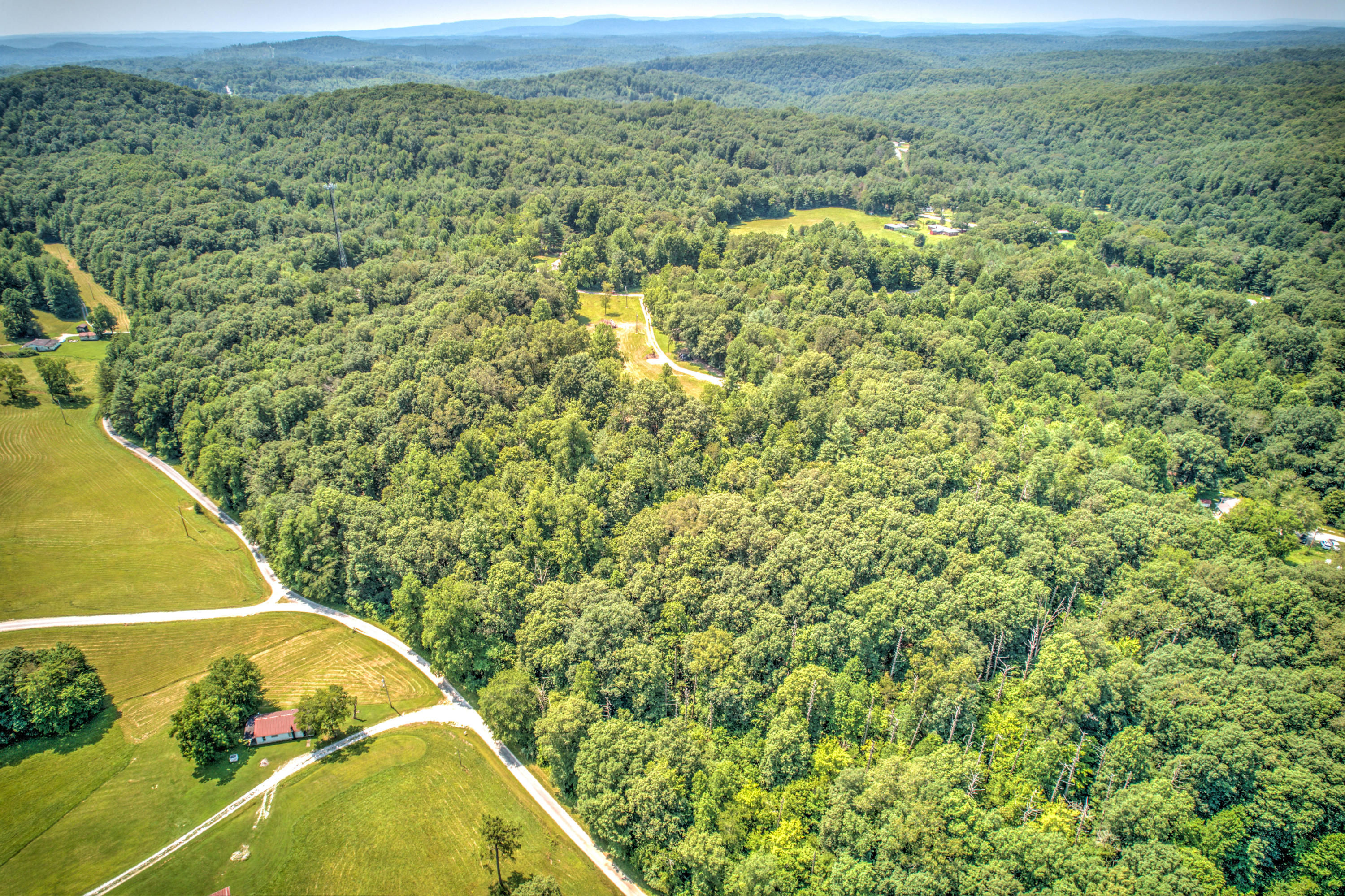 147 Lewis Landrum Road Lancing, TN 37770 - Photo 7 of 12 7