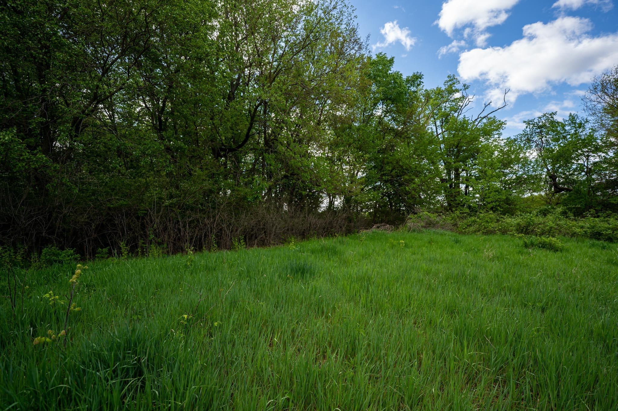 0 Jay Street Freeport, IL 61032 - Photo 17 of 31