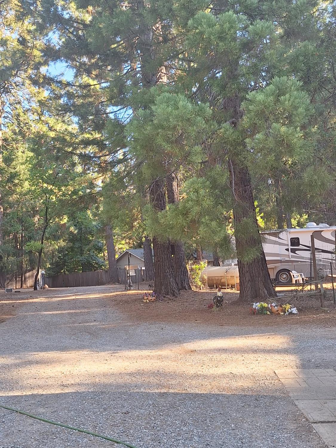 5695 Juarez Road Pollock Pines, CA 95726 - Photo 22 of 28