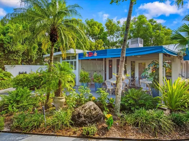a view of a garden with plants