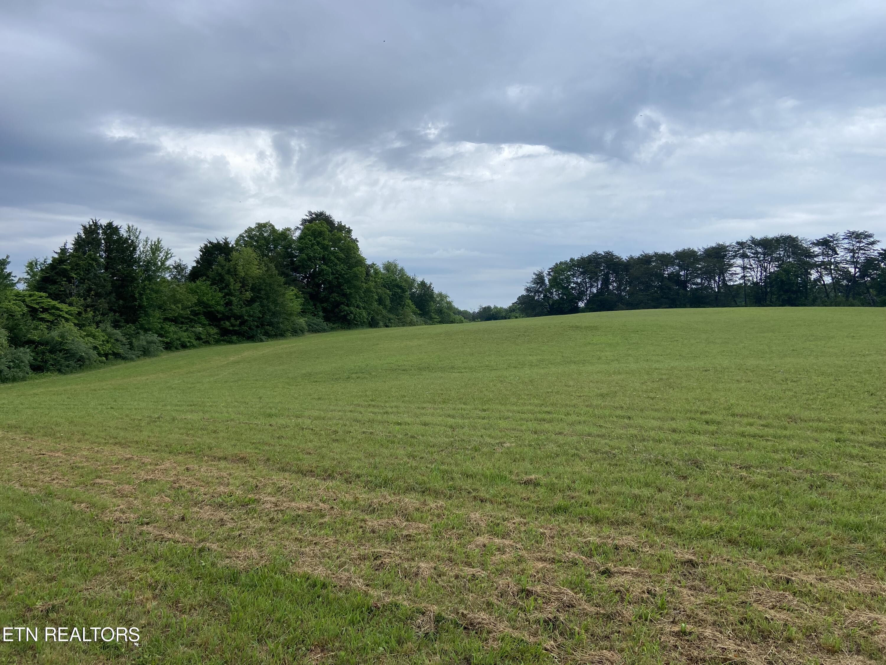 Wells Road Maryville, TN 37801 - Photo 2 of 8 IMG_7137