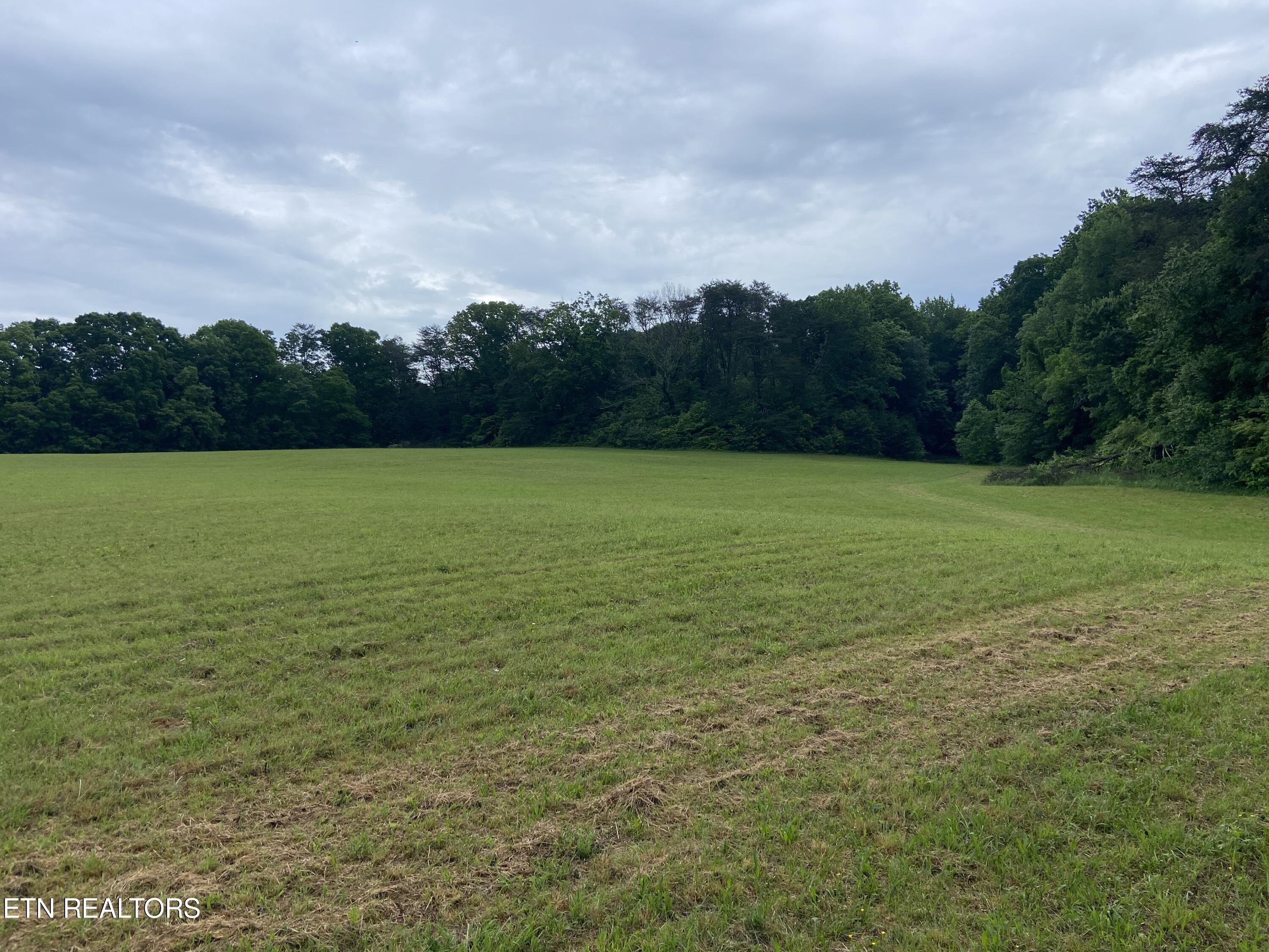 Wells Road Maryville, TN 37801 - Photo 3 of 8 IMG_7139