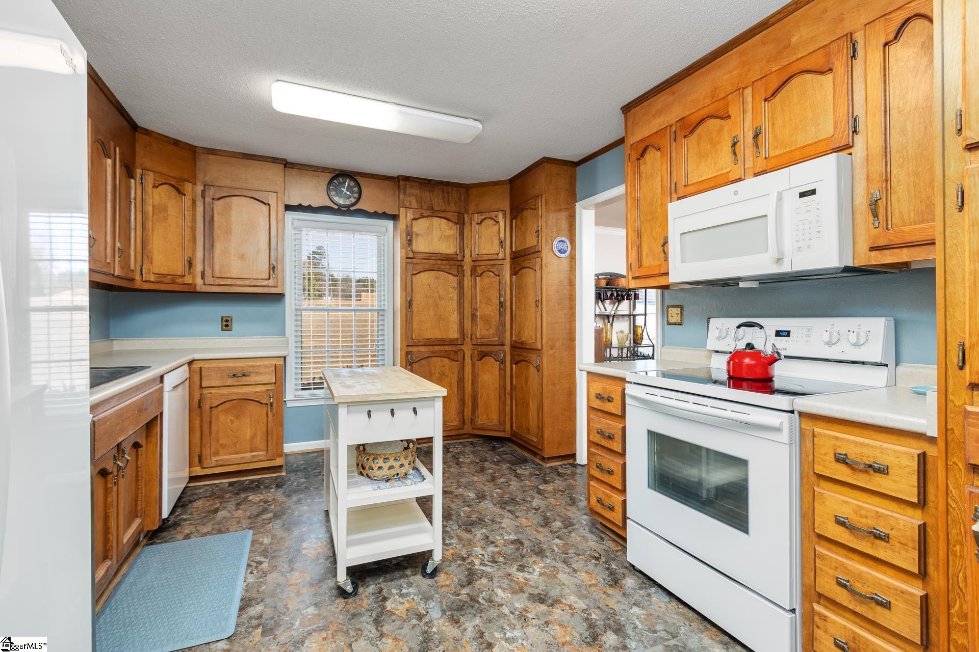 519 Spring Road Laurens, SC 29360 - Photo 3 of 49 Gallery Image 3