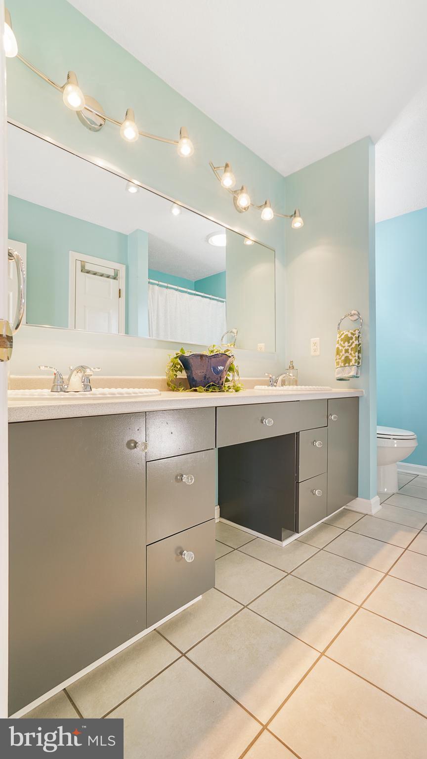 14931 Old York Road Phoenix, MD 21131 - Photo 10 of 25 Master bath with double vanity