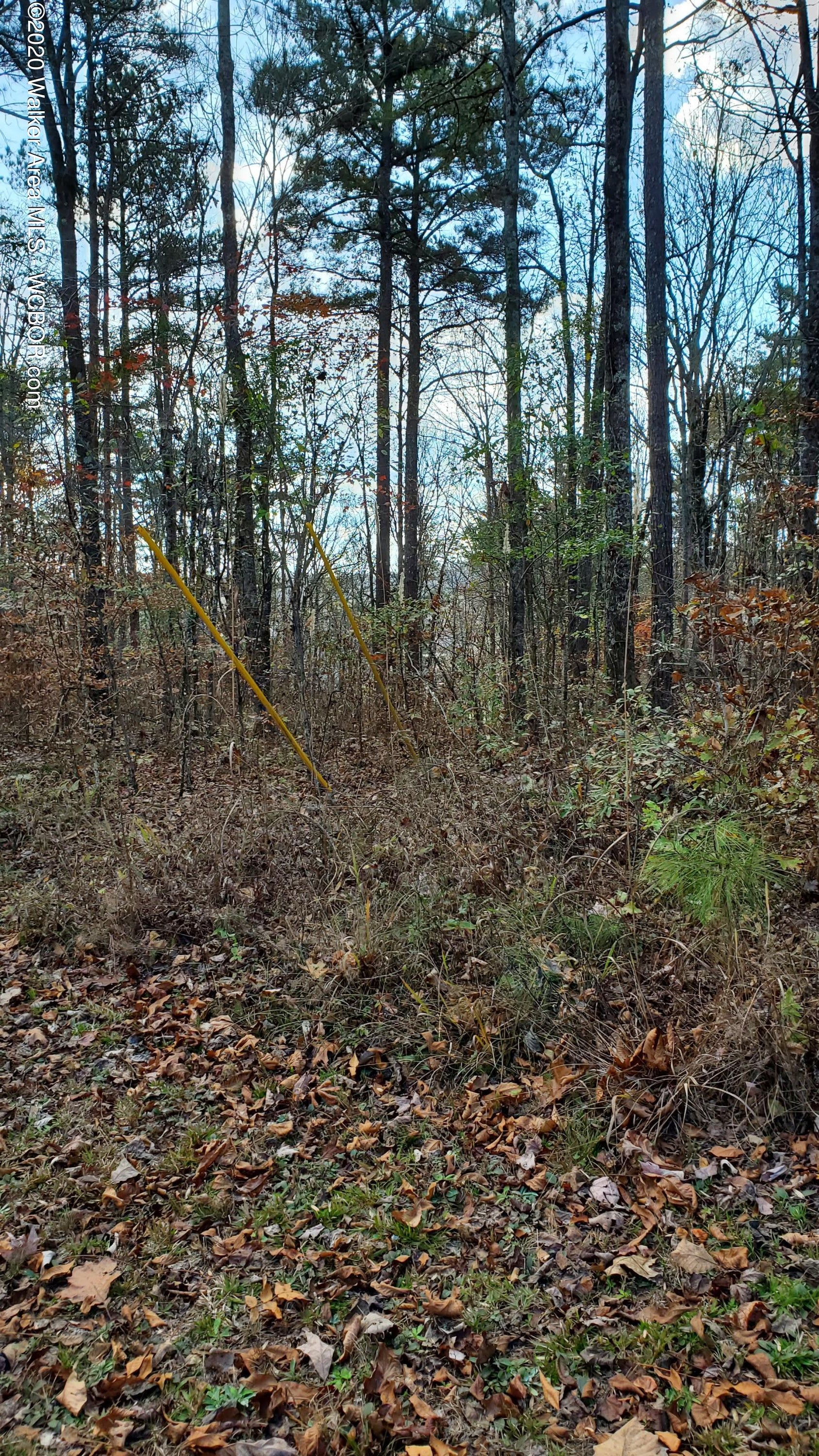 106 County Road Logan, AL 35098 - Photo 1 of 4 Gallery Image 1