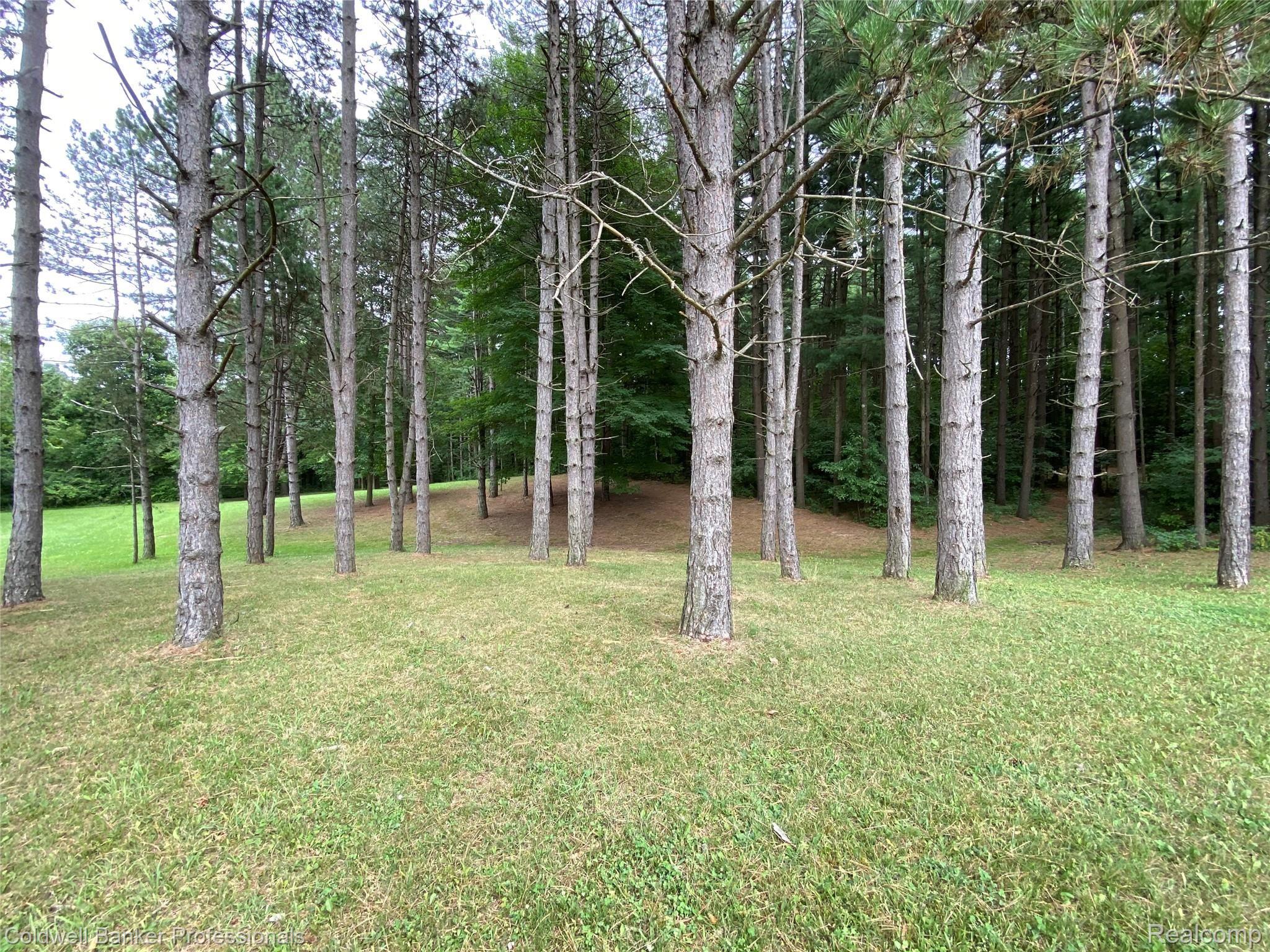 1235 Lake Nepessing Road Lapeer, MI 48446 - Photo 40 of 55 F91968CE-2E69-4BE4-8FF7-2DCD5AAF5EFE.jpeg