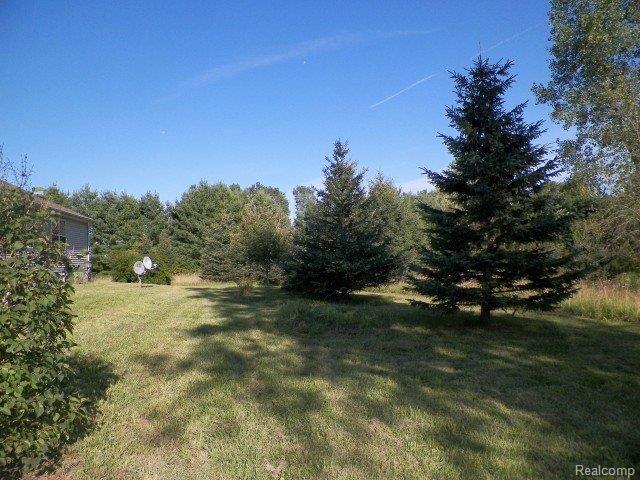 335 West Castle Road Fostoria, MI 48435 - Photo 23 of 28 262-132341 - Yard.JPG