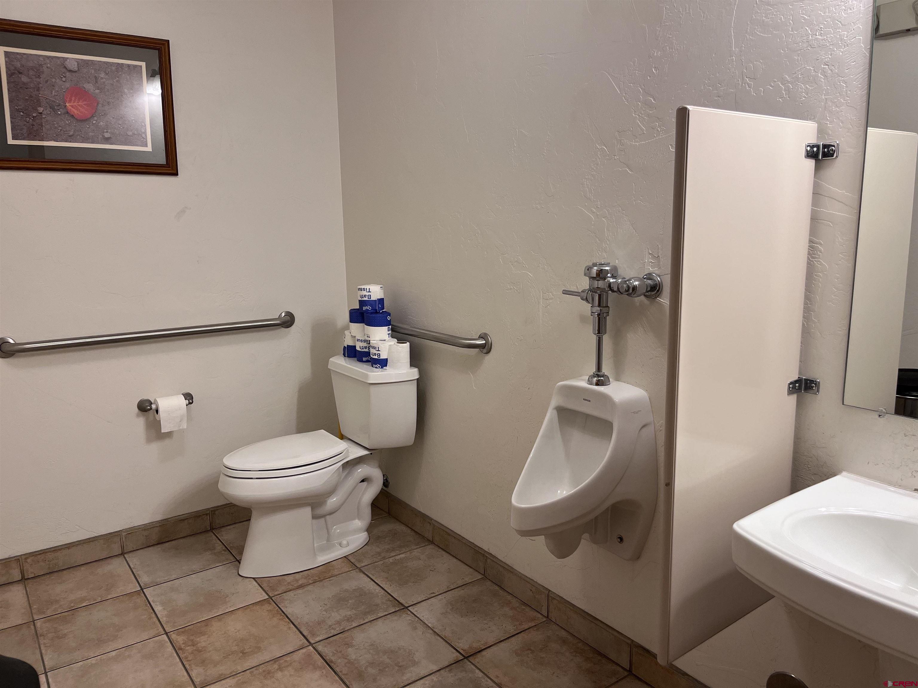 954 East 2nd Avenue, Unit 108 Durango, CO 81301 - Photo 11 of 11 a white toilet sitting next to a bathroom sink and vanity