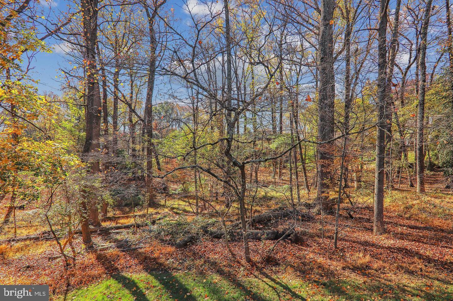 1511 Hugo Circle, Unit 2 Silver Spring, MD 20906 - Photo 9 of 11