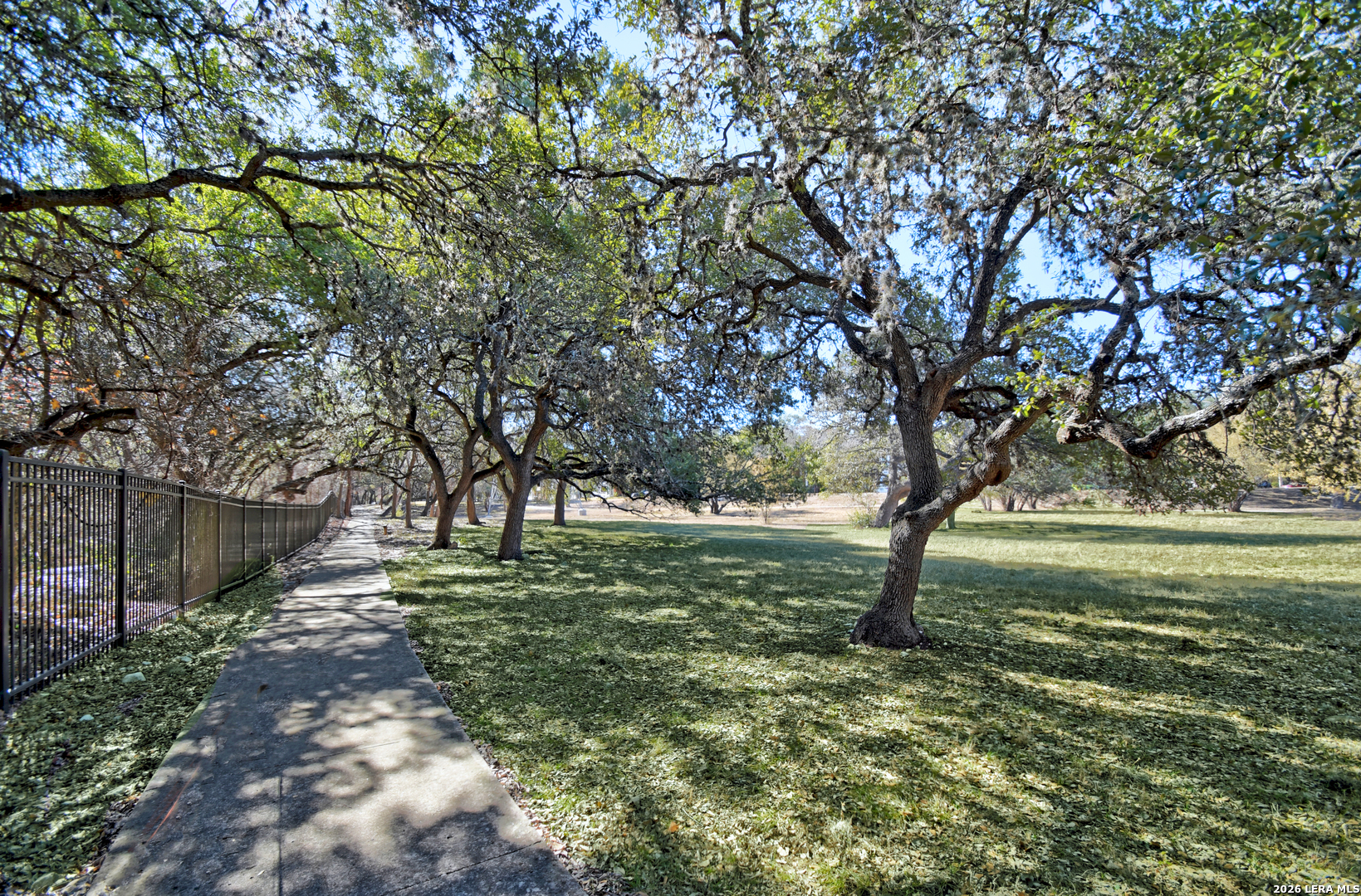 13130 Blanco Road, Unit 1706 San Antonio, TX 78216 - Photo 23 of 23 a view of a trees in a yard