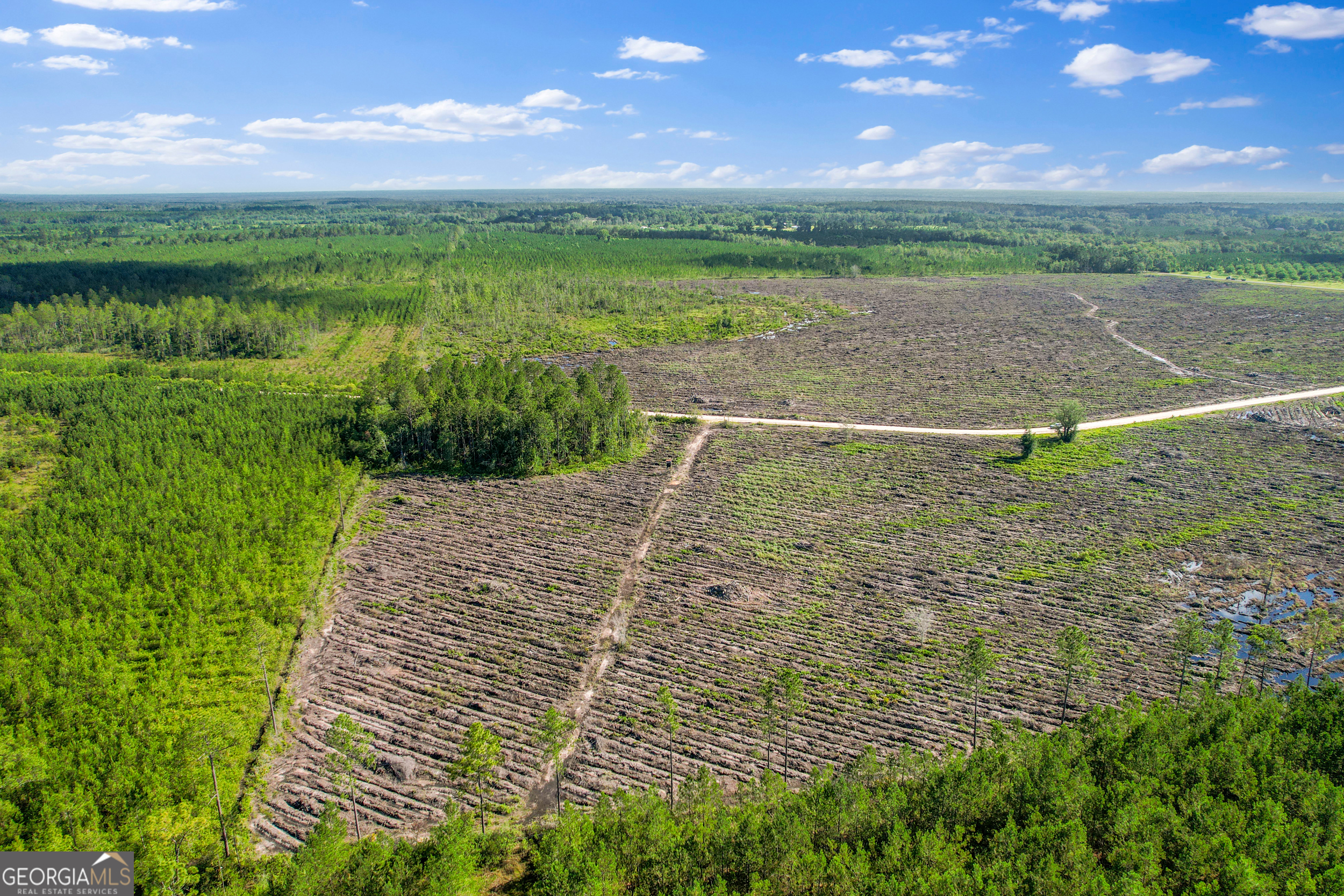 4 Morris Break Road Odum, GA 31555 - Photo 1 of 1 a view of outdoor space with garden